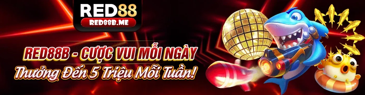 Banner khuyến mãi độc quyền tại C5