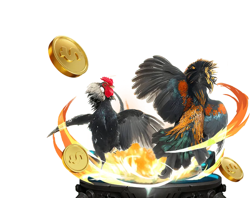 Giao diện đặt cược đá gà C5 trực quan và dễ sử dụng